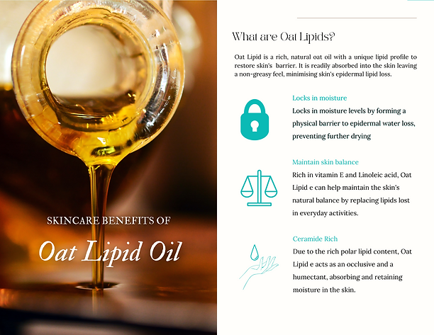 All About Baby & Kids E-Book